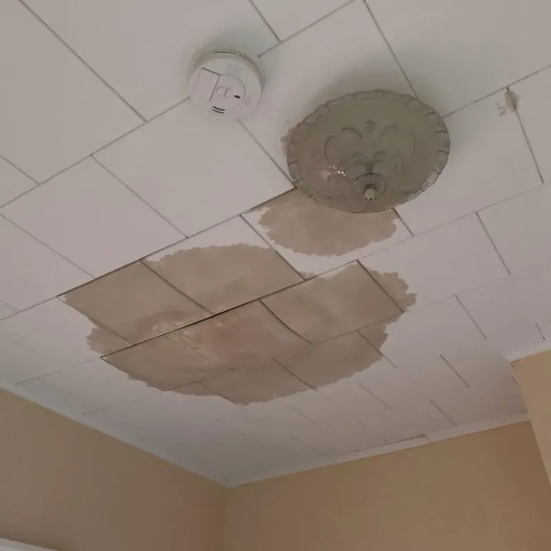 Ceiling Water Damage Repair in Mound City, MO