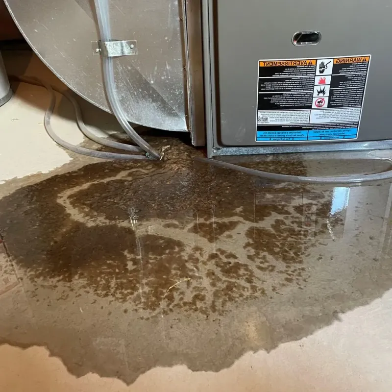 Pipe Burst and Leak Restoration in Mound City, MO