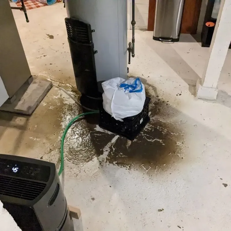 Sewage Backup Cleanup Service in Mound City, MO
